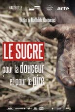 Le sucre, pour la douceur et pour le pire