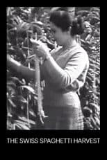 The Swiss Spaghetti Harvest