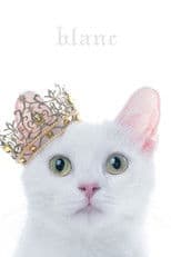 Aimer: Best Selection "blanc" (Limited Edition Bonus)