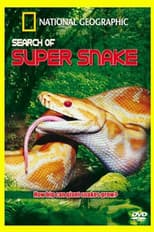 Search For the Supersnake