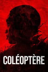 Coléoptère