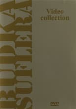 Budka Suflera: Video Collection