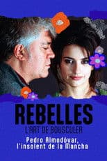 Almodóvar, l'insolent de la Mancha