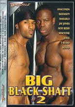 Big Black Shaft 2