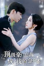 顶级豪门总裁成了我的金丝雀