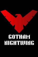 Gotham Nightwing
