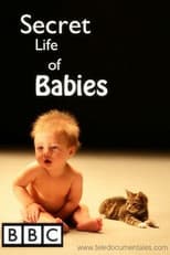 Secret Life of Babies