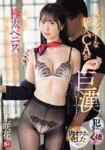 スレンダーな新人CAが巨漢クレーマーに犯され、心壊れ、肉オナホと化した後に… マ●コが極太ペニスに馴染んできてあり得ないほどイキまくった。