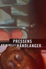 Pressens kriminelle håndlanger
