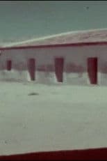 A Flor do Lácio é vadia