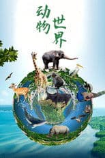 动物世界(赵忠祥)