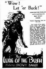 The Lure of the Bush