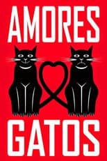 Amores Gatos