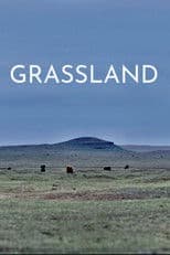 Grassland