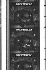 A Night of Storytelling