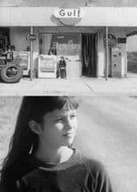 The Knight of the Rose