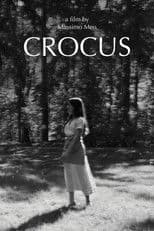 Crocus