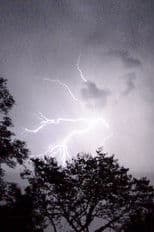 The Heart of Eternity