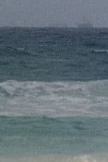 Filmtagebuch 1975-85