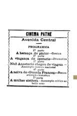 Nhô Anastácio Chegou de Viagem