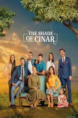 The Shade of Cinar
