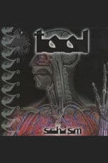 TOOL - Schism