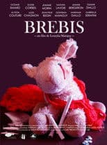 Brebis