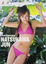 夏川純 Perfect collection