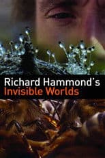 Richard Hammond's Invisible Worlds