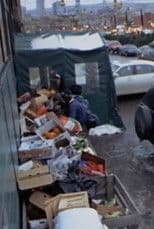 Surfing the Waste: a Musical Documentary about Dumpster Diving