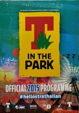 Avicii live in The Park