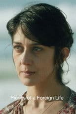 Pieces of a Foreign Life