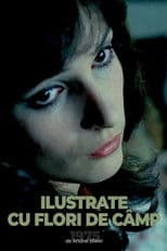 Postcards with Wildflowers