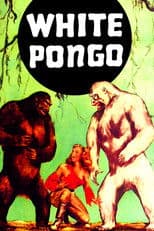 White Pongo