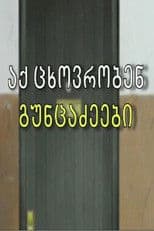 The Guntsadzes Live Here