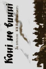 The Horses Are Not Guilty