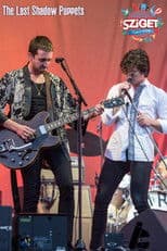 The Last Shadow Puppets at Sziget Festival