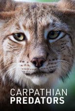 Carpathian Predators