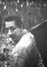 Kormányeltörésben