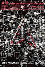 A15 - 張惠妹 AMeiZING Live 世界巡迴演唱會 跨世紀盛典