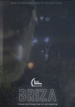 Briza