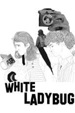 White Ladybug