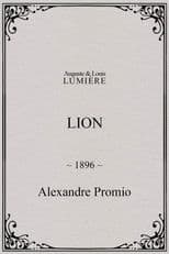 Lion, London Zoological Gardens