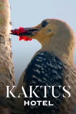 Cactus Hotel