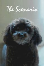 The Scenario