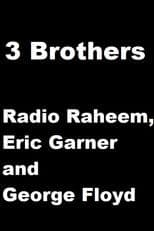 3 Brothers: Radio Raheem, Eric Garner and George Floyd