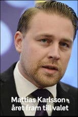 Mattias Karlsson: Året fram till valet