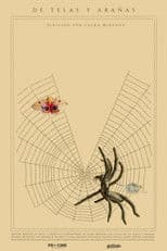 Of Webs and Spiders