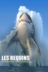 Les requins, maîtres des profondeurs