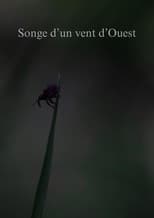 Songe d'un vent d'Ouest